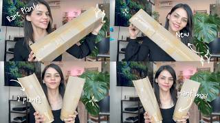 Houseplant Unboxing 🌿 Rare Alocasia  Philodendron [upl. by Nalyad]