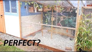 Building The Perfect Aviary [upl. by Kuhn151]