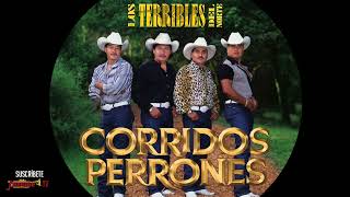 LOS TERRIBLES DEL NORTE  CORRIDOS PERRONES  Playlist Oficial 2023 [upl. by Grenier]