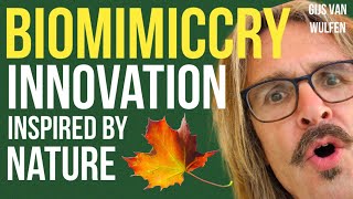 Innovation Inspired by Nature BIOMIMICRY explained [upl. by Jemy536]