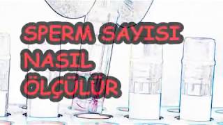 SPERM SAYISI NASIL ÖLÇÜLÜR [upl. by Belanger989]