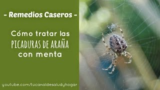 Cómo curar una picadura de araña con menta [upl. by Gingras]