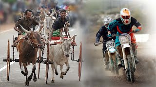 Bullock Cart Race in Sri lanka [upl. by Aihcsrop]