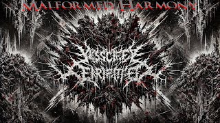 Visceral Erosion  2024  Malformed Harmony  Grindcore  Extreme Grindcore  Brutal Metal [upl. by Pani]