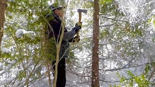 Limbing with a Gransfors Forest Axe  Safety [upl. by Ashwin264]