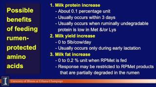 Feeding to Maximize Milk Protein  Mike Hutjens PhD [upl. by Rois]