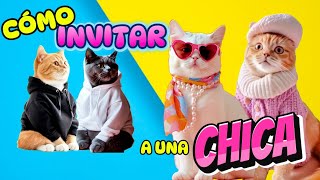 CÓMO invitar a SALIR a una CHICA  Chistes de GATOS 😹😹😹 [upl. by Qulllon]