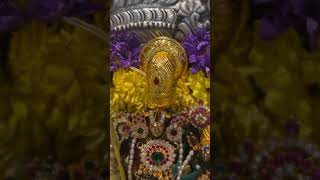 Antha Rama mayam Video Song With Lyrics II Sri Ramadasu Movie YouTube [upl. by Devad]