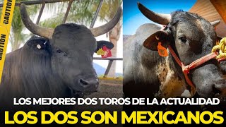 LOS DOS MEJORES TOROS MEXICANOS DE LA ACTUALIDAD [upl. by Tymothy25]