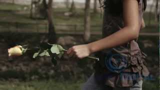 Cortometraje Conciencia Social [upl. by Lindly493]