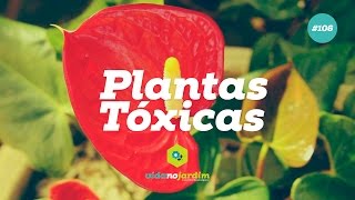 Plantas Tóxicas 106 [upl. by Karim]