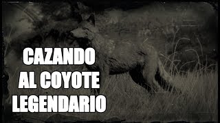 Red Dead Redemption 2  Localización cazando y despellejando un Coyote Legendario [upl. by Oleg]