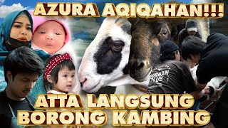 AQIQAH BABY AZURA  AMEENA ATTA BORONG KAMBING 100 KG [upl. by Suh]