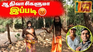 ஆதிவாசிகள்  இலங்கை Tribes Foods  Mahiyankane  Sri lanka  sltamilvlogs [upl. by Anuahsat]