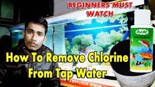 How to remove chlorine from tap water for aquarium  chlorine remover for fish tank [upl. by Hedelman955]