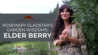 Rosemary Gladstars Garden Wisdoms Elderberry Medicine [upl. by Anilemrac]