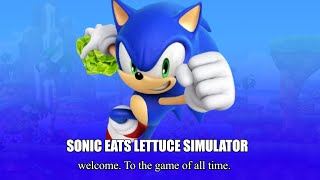 Oopsie Poopsie  Sonic Eats Lettuce Simulator OST [upl. by Zohara]