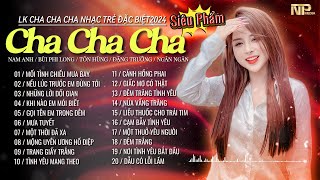 Mối Tình Chiều Mưa Bay  Album Cha Cha Rumba Nhạc Trẻ 8x 9x Cực Hot 2024  Nghe Một Lần Là Nghiện [upl. by Alejoa133]