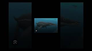 Otodus Chubutensis vs NHM Symphysis otodus nhmsymphysis shorts shortvideo pliosaurus [upl. by Ainitsirhc]