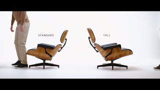 Eames Midcentury Lounge Chair and Ottoman  Standard vs Tall [upl. by Anoid]