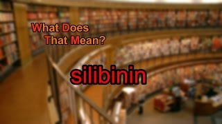 What does silibinin mean [upl. by Ahseiym927]