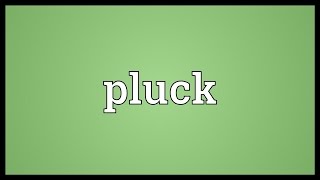 Pluck Meaning [upl. by Bergess244]