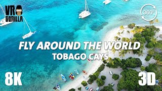 Fly Around the World VR  Tobago Cays a Caribbean Paradise  8K 360 Video [upl. by Aruat351]