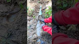 Pipe Blockage Solutions Unclogging Drains with Ease blockedpipe shorts video viralvideo short [upl. by Ellebyam216]