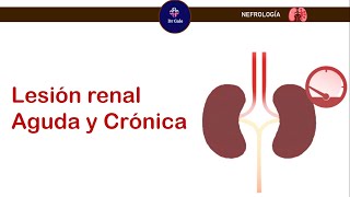 Enfermedad Renal Aguda y Crónica ParaelENARM [upl. by Jezabella]