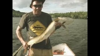 Maskinongés monstres capturés live  Monster muskie captured live [upl. by Huxley275]