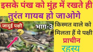 इस जादुई पक्षी का पंख मिल जाए तो छोड़ना मतइसे मुंह में रखते ही तुंरत अदृश्य हो जाओगेप्रचीन रहस्य [upl. by Nnyl]