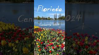 Floriade 2024  Australias Biggest Celebration of Spring floriade flowers canberra australia [upl. by Poliard]