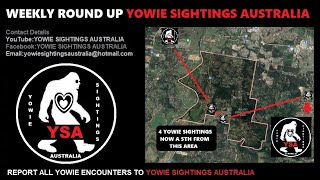 8 Yowie  Bigfoot Sighting All Over Australia Witness Report [upl. by Dukey]