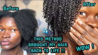 The LOW POROSITY Basic Regimen  A Simple routine for moisturized Natural Hair [upl. by Deloris]