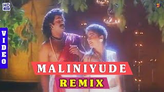 Maliniyude Theerangal  Remix  DJVideo Dance Mix Gandharvam [upl. by Azmah]