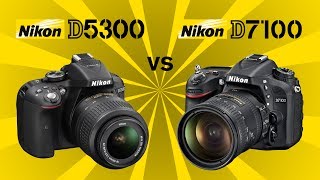 Nikon D5300 vs Nikon D7100 [upl. by Romy21]