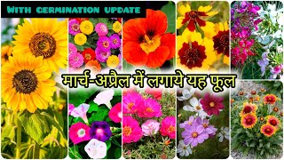 मार्च अप्रैल में लगाये इन् फूलों को  Top 20 Summer flowering plants From seed To saplings update [upl. by Watanabe]