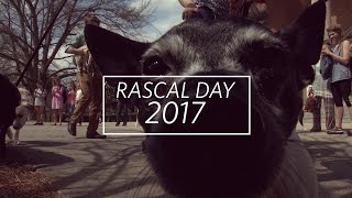 Rascal Day 2017 [upl. by Arhna]