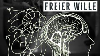 Freier Wille amp Determinismus – Warum ich das Problem nicht verstehe [upl. by Amek]