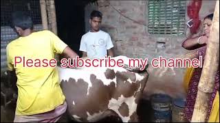 ARTIFICIAL INSEMINATION PLEASE SUBSCRIBE LIKE SHARE MY CHANNEL 🙏 [upl. by Auguste486]