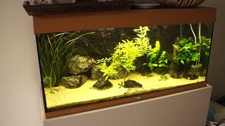 Hoe reinig je de ruiten van het aquarium [upl. by Brent]