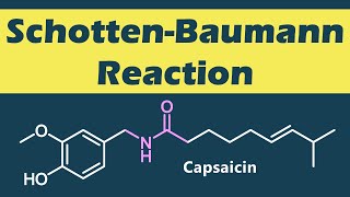 ショッテン・バウマン反応SchottenBaumann Reactionの反応機構【カプサイシンの合成】 [upl. by Amej]