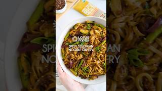 Spicy Szechuan Noodle Stir Fry [upl. by Pelletier]