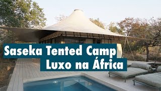 Saseka Tented Camp é o mais novo lodge da Thornybush Collection [upl. by Emirak]