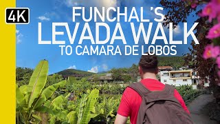 Funchal To Camara De Lobos By Levada  Madeira Guided Walk [upl. by Kisung]