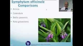 Symphytum officinale Homeopathic Medicine Tips For Beginners [upl. by Clarence]