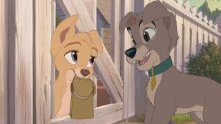 Lady and the Tramp 2  Scamp meets Angel HD [upl. by Akiras]