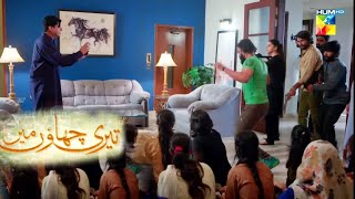 Teri Chhaon Mein Episode 22 To Last Promo  Teri Chhaon Mein Episode 22 Teaser  Review  Hum TV [upl. by Acisset]