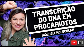 Transcrição do DNA em Procariotos MÓDULO ESPECIAL [upl. by Niccolo]