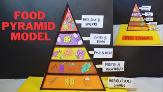 Food pyramid model  science project  Food pyramid 2D  school project Exhibition model for school [upl. by Nowahs]